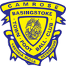 Basingstoke Town