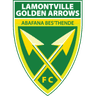 Golden Arrows