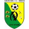 Bibiani Gold Stars FC