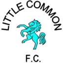Little Common